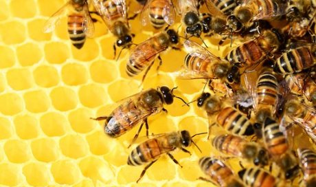 Produits Alvadiem pour le soin de mains et des pieds à Saint-Nazaire